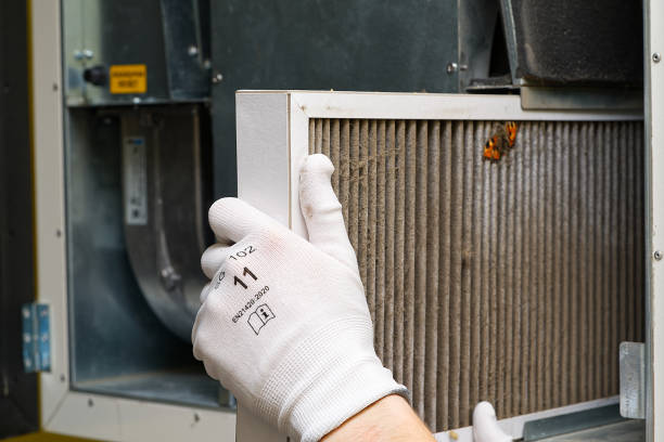 Best HVAC Maintenance and Cleaning  in Chapman, KS