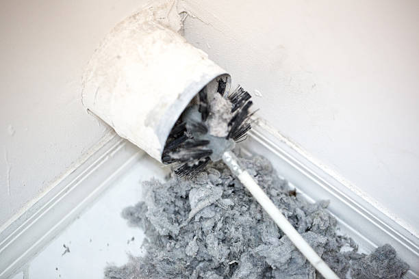 Best Affordable HVAC Duct Cleaning  in Chapman, KS