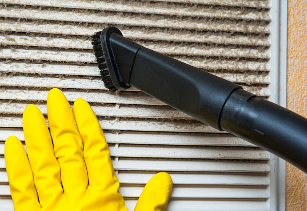 Best HVAC System Cleaning  in Chapman, KS